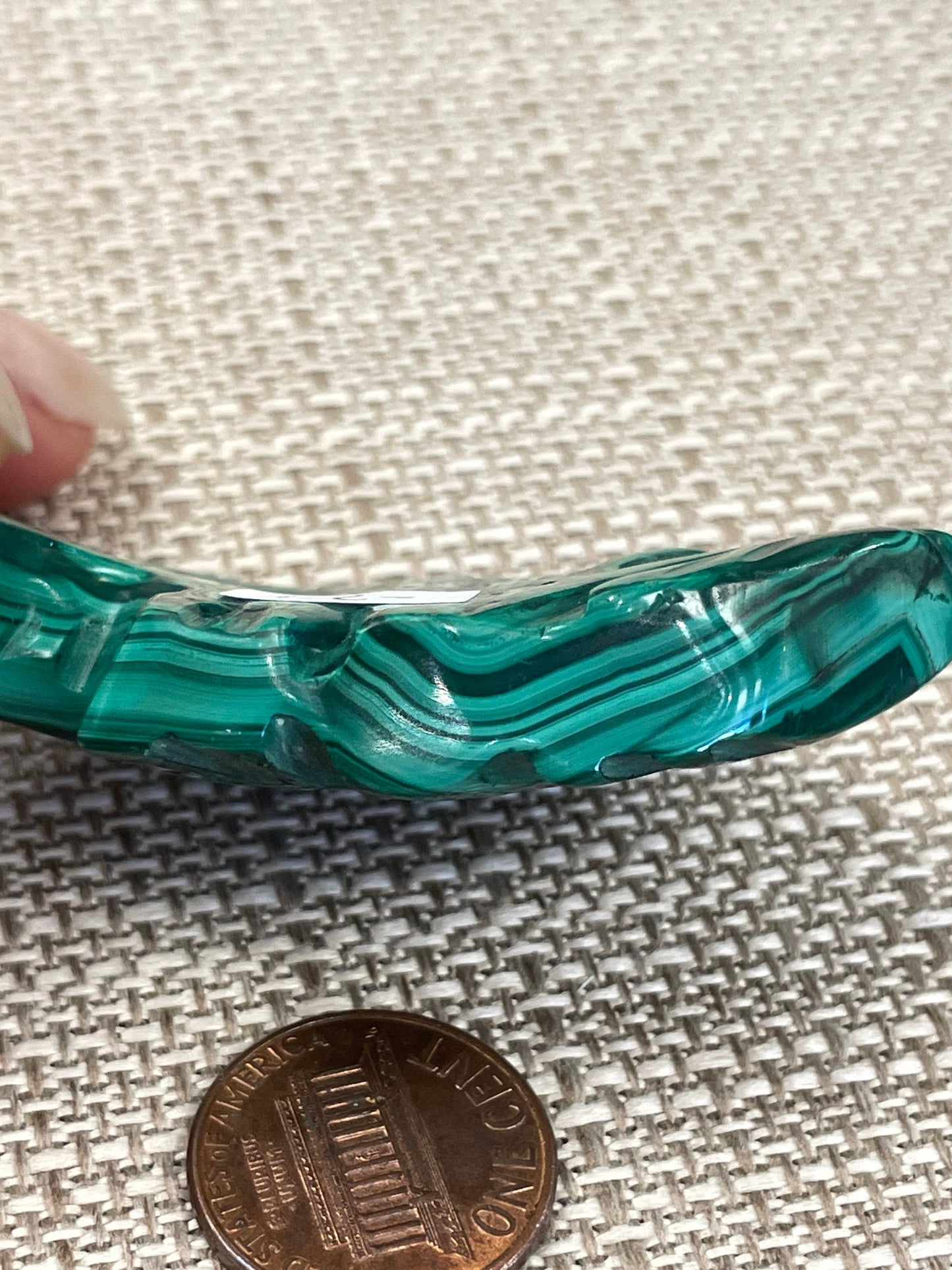 Malachite Fish