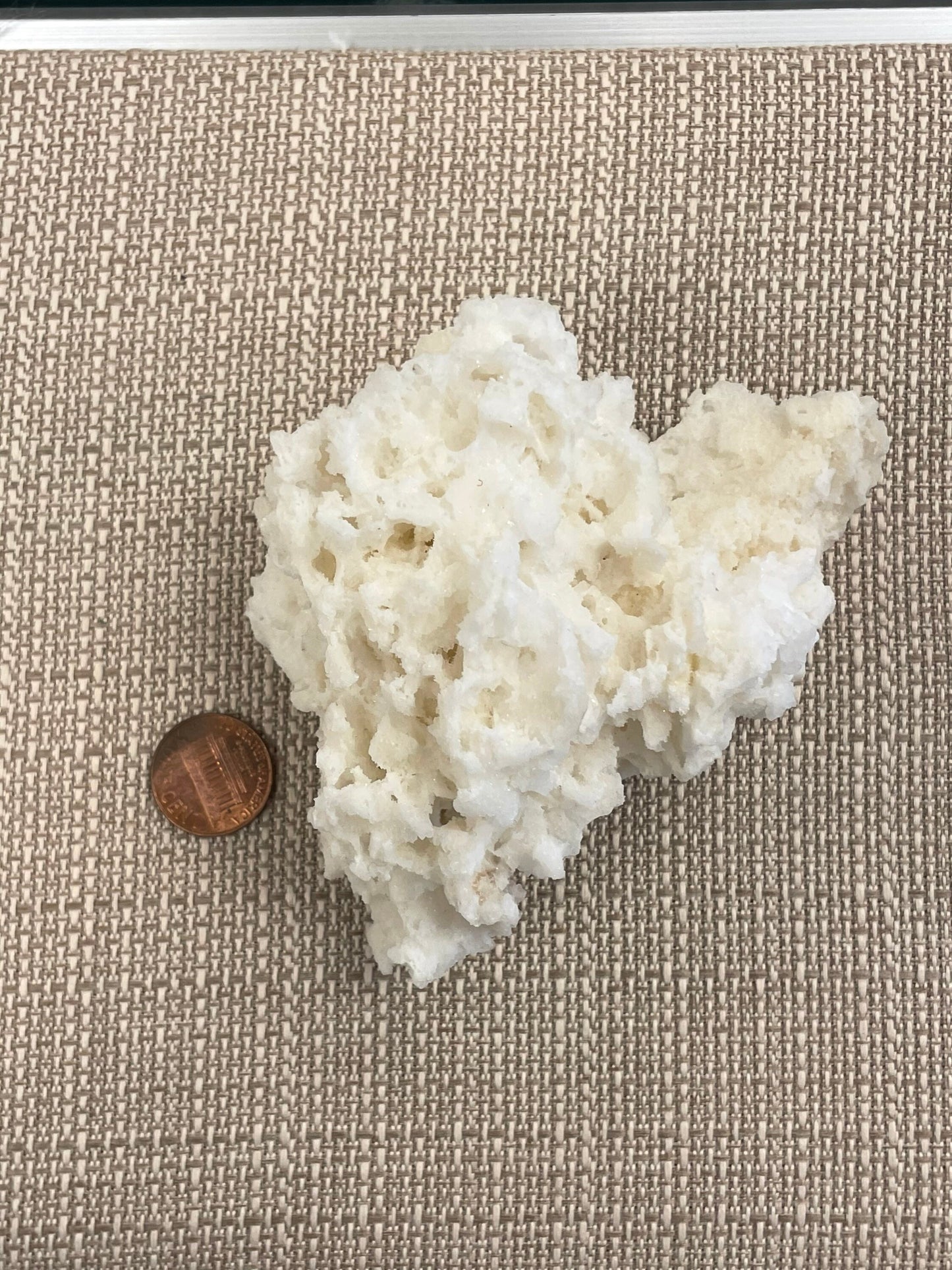 Honeycomb Sauralite Specimen