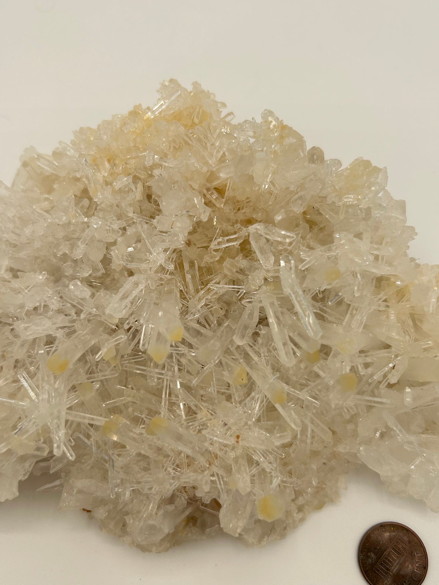 Lemurian Quartz Cluster