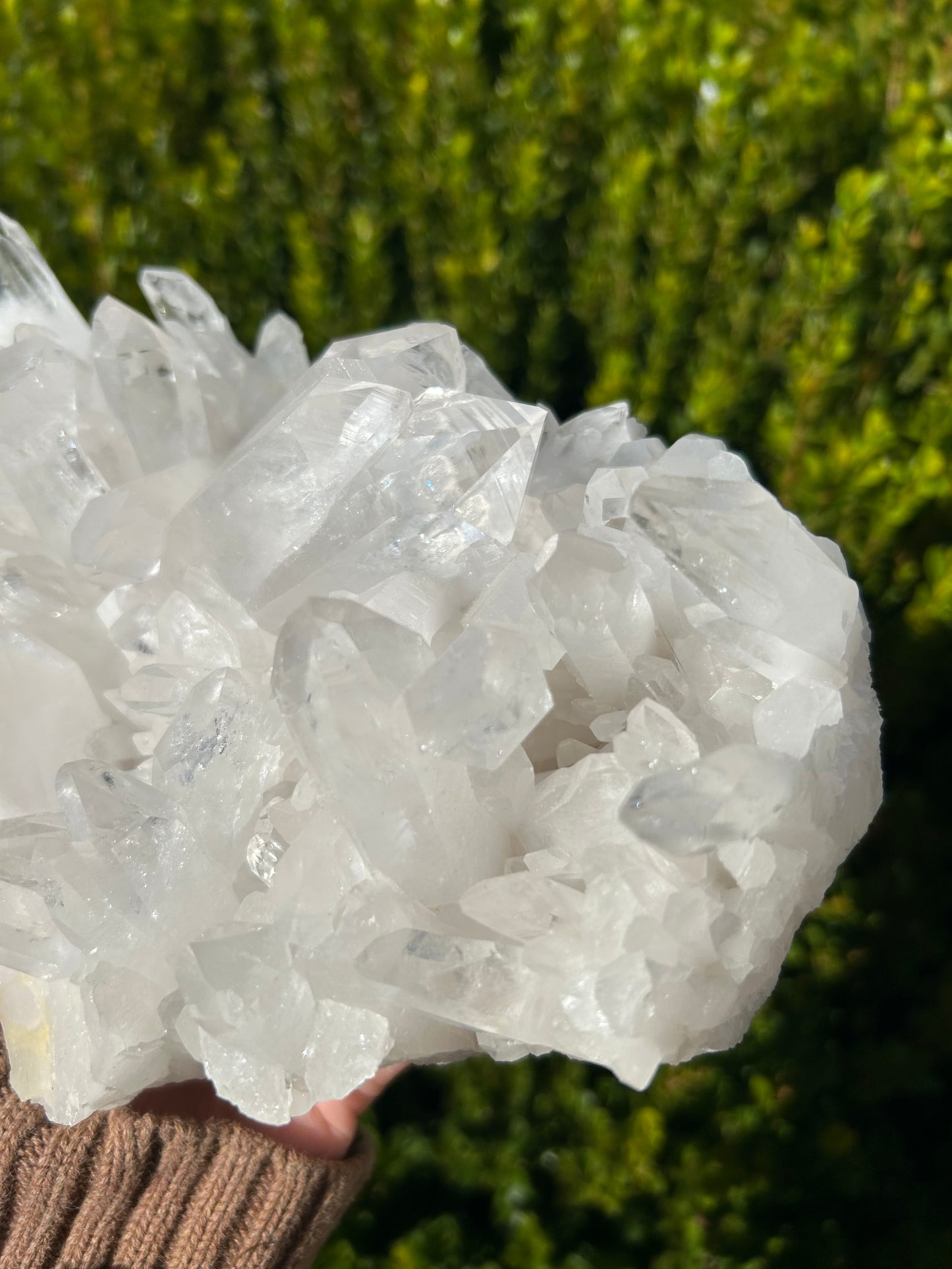 Clear Quartz cluster