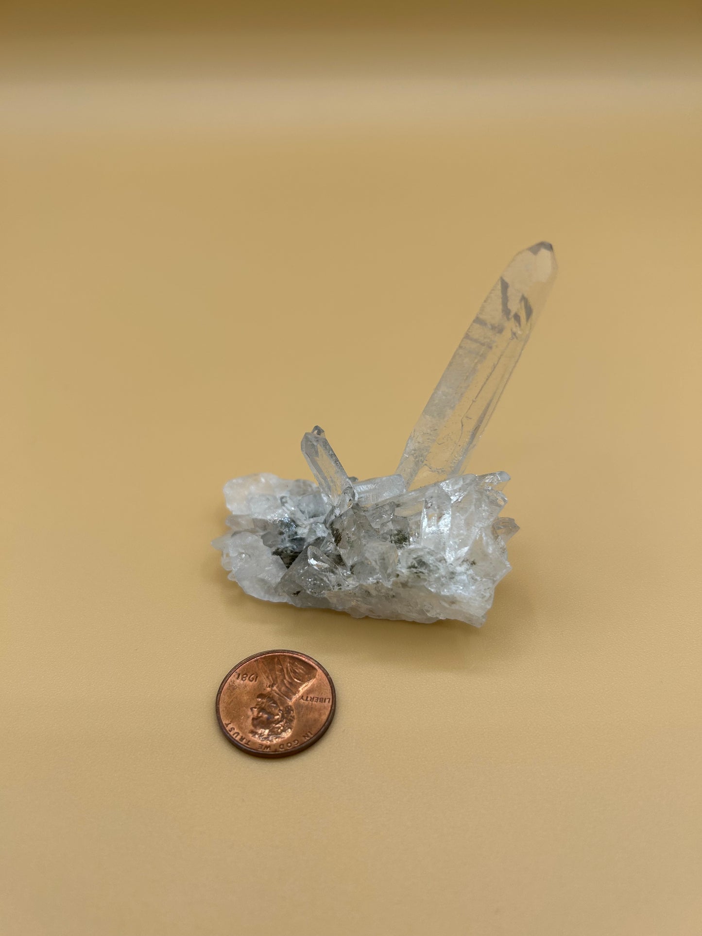 Chlorite Phantom Quartz Cluster