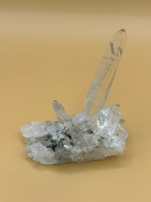 Chlorite Phantom Quartz Cluster