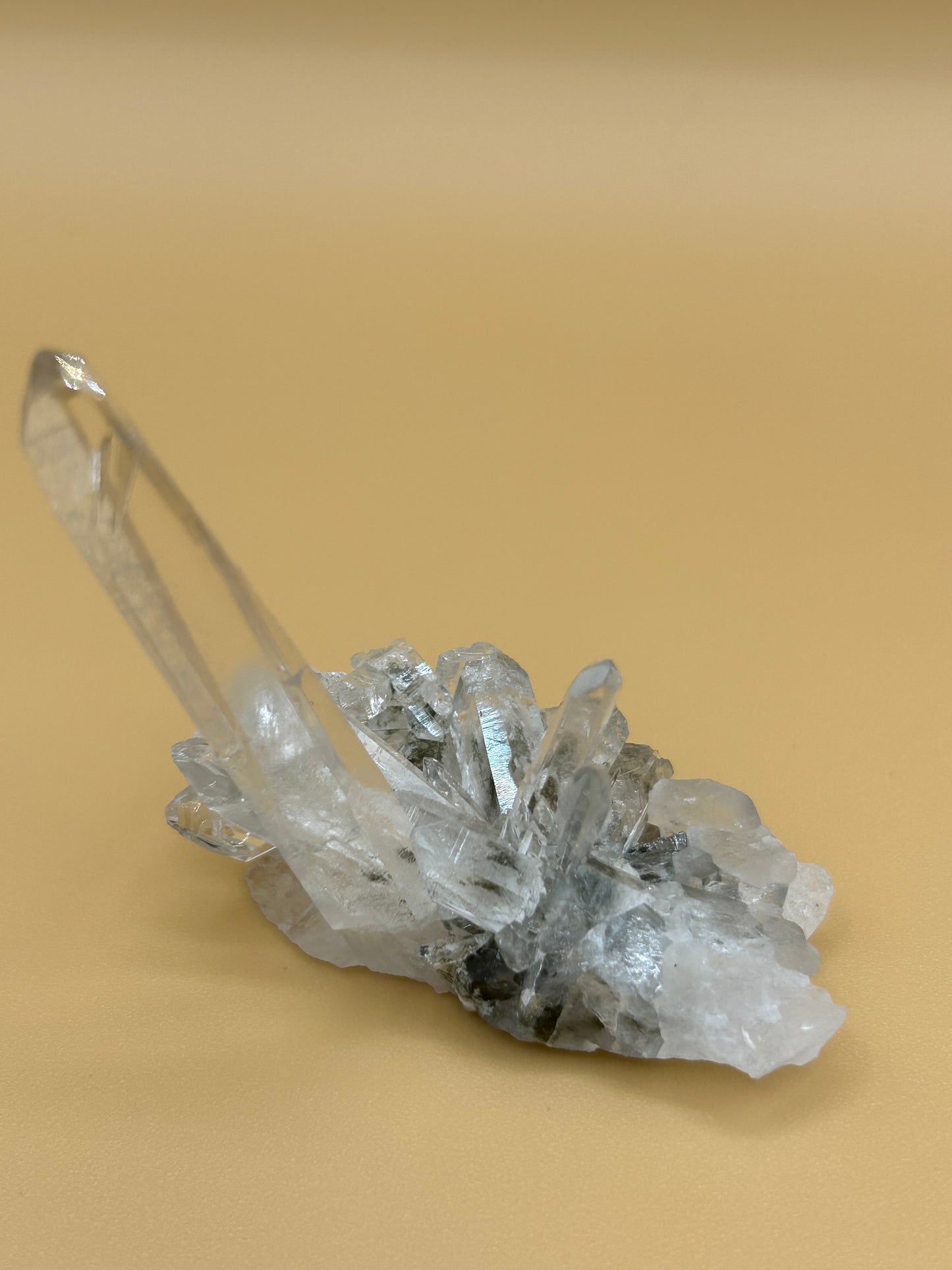 Chlorite Phantom Quartz Cluster