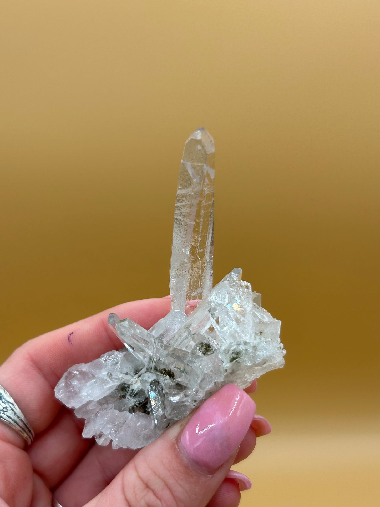 Chlorite Phantom Quartz Cluster