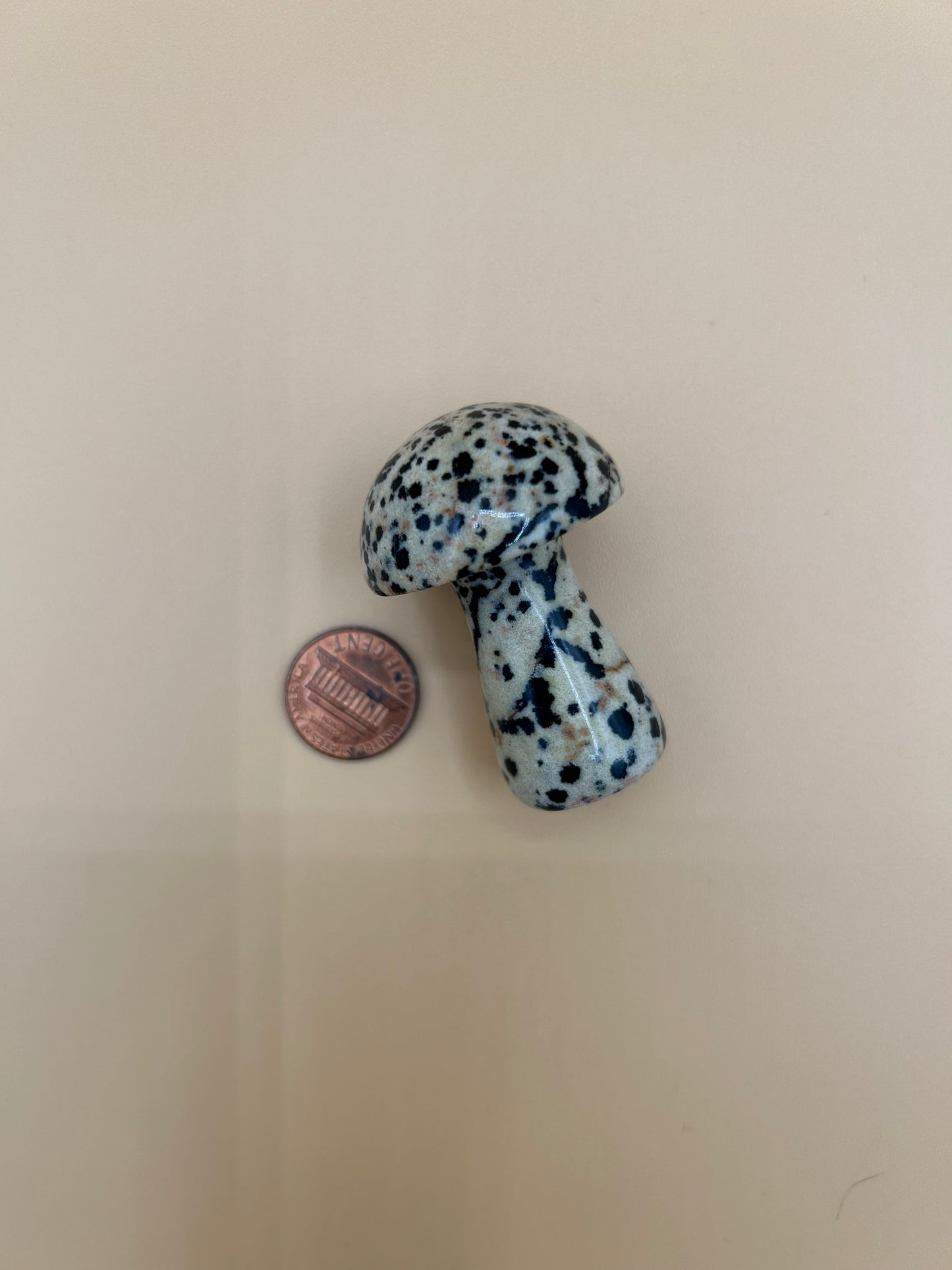 Dalmatian Jasper Mushroom