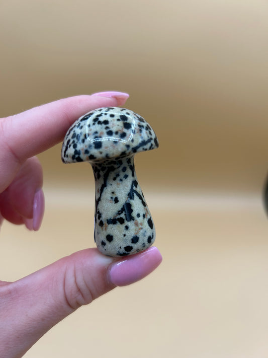 Dalmatian Jasper Mushroom