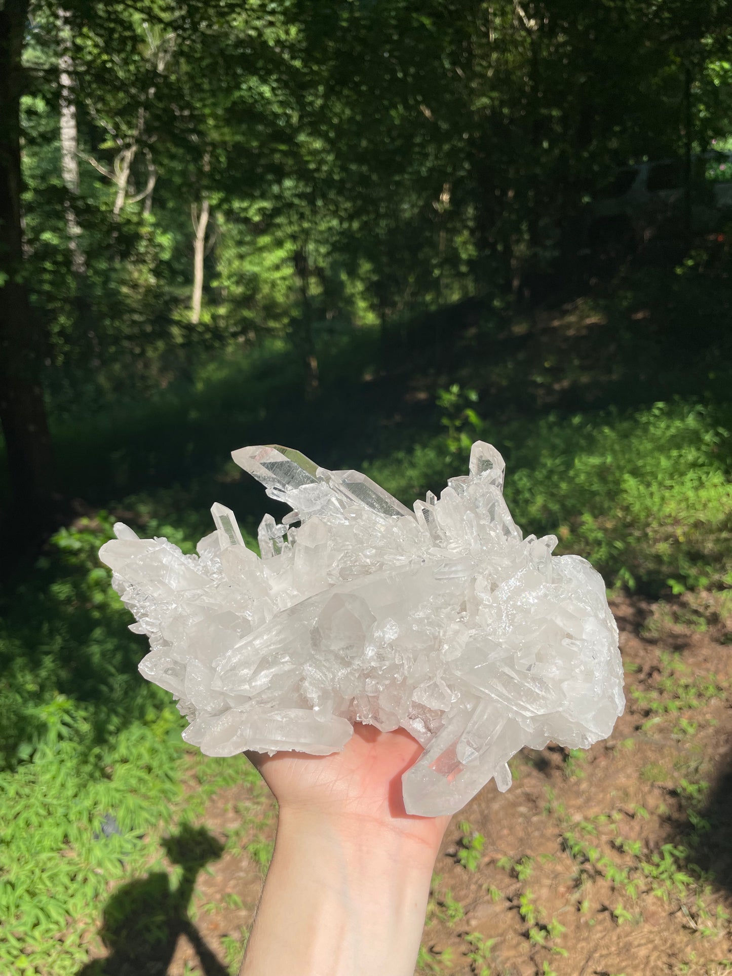 Clear Quartz Cluster