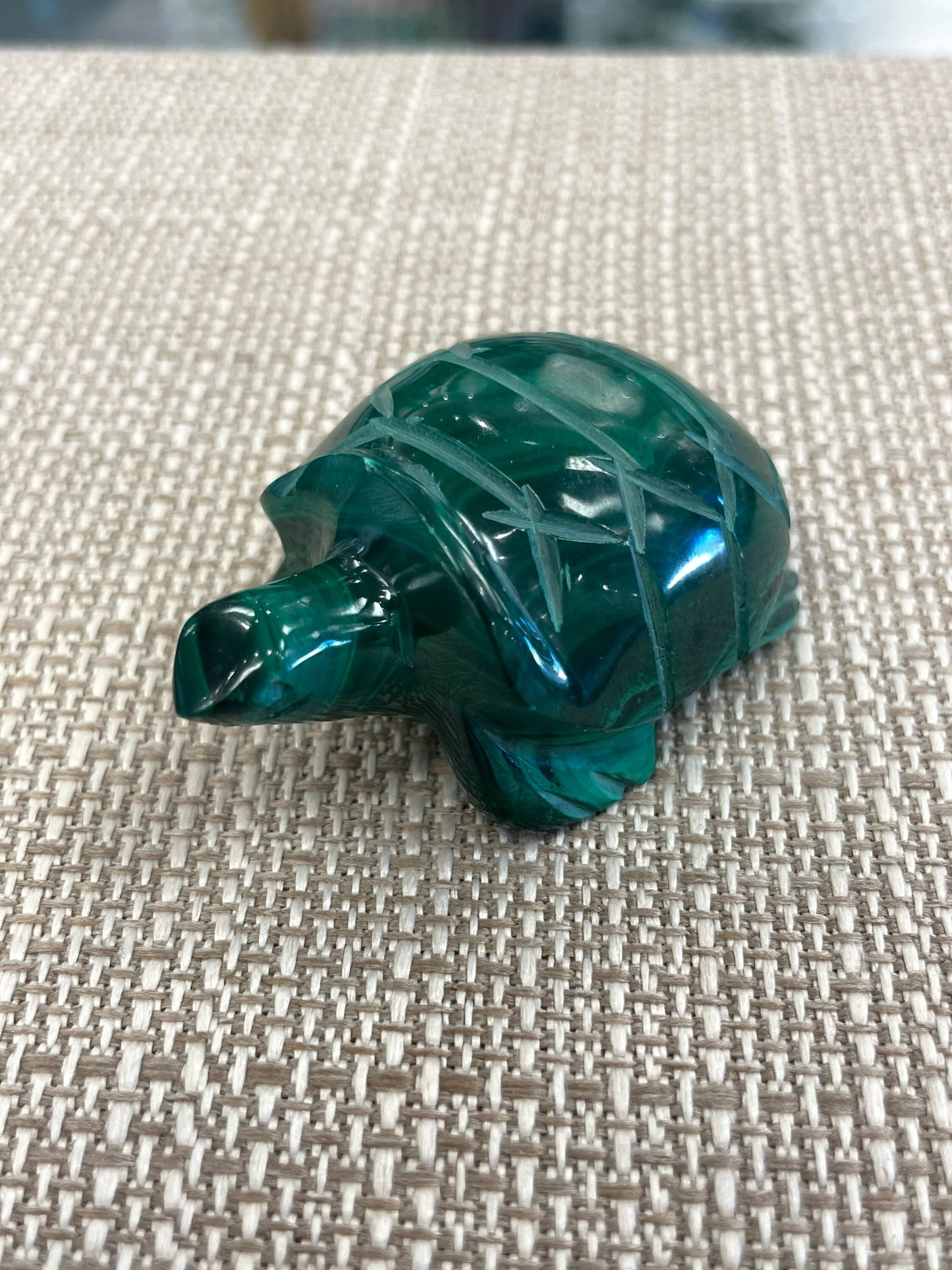 Malachite Turtle