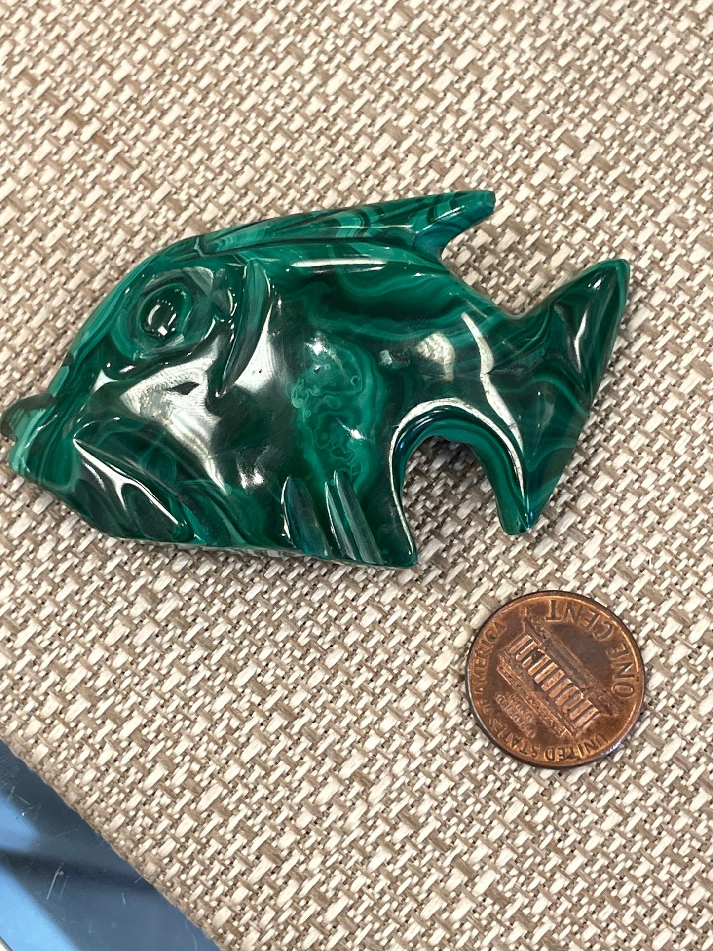 Malachite Fish