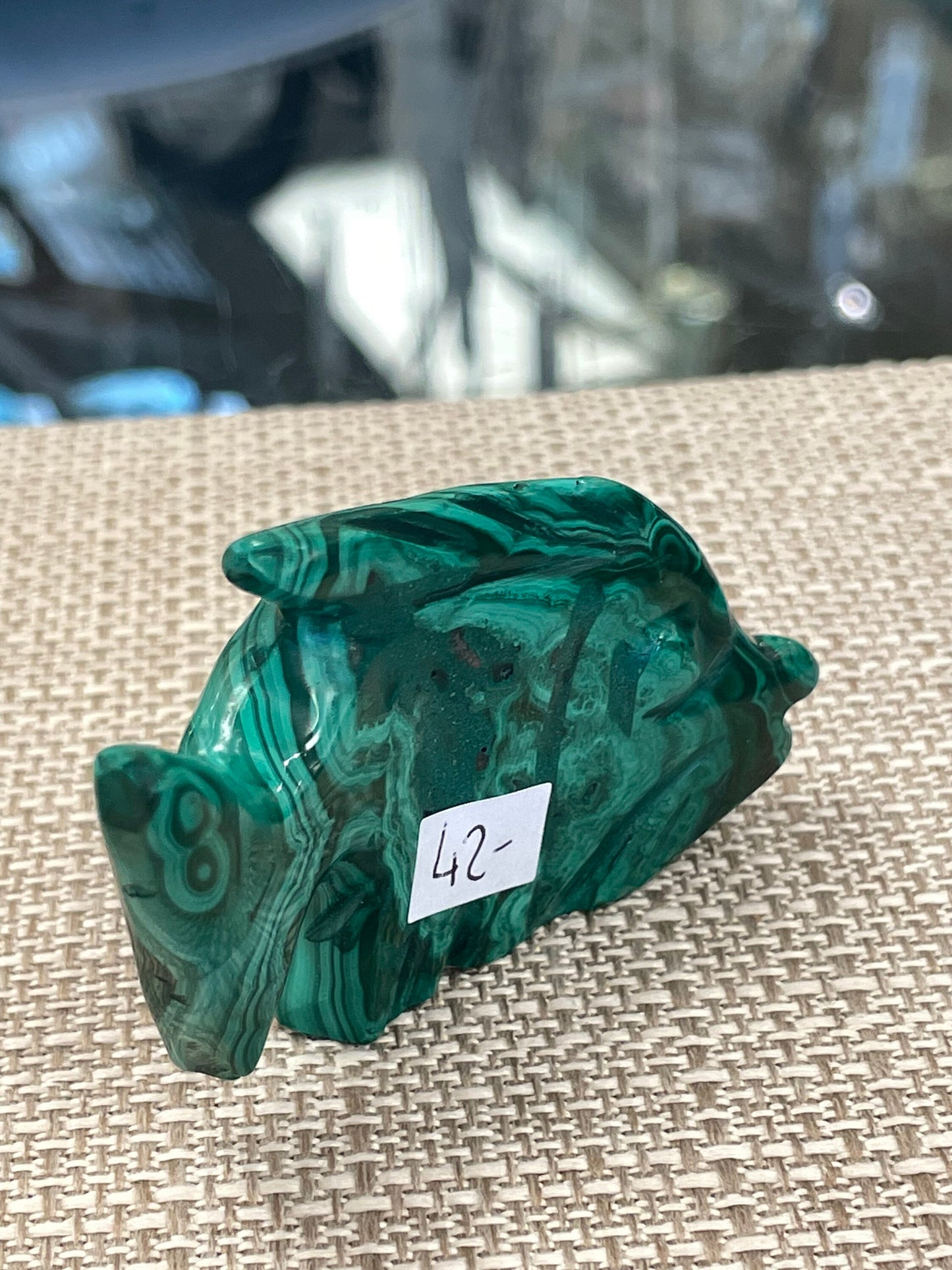 Malachite Fish