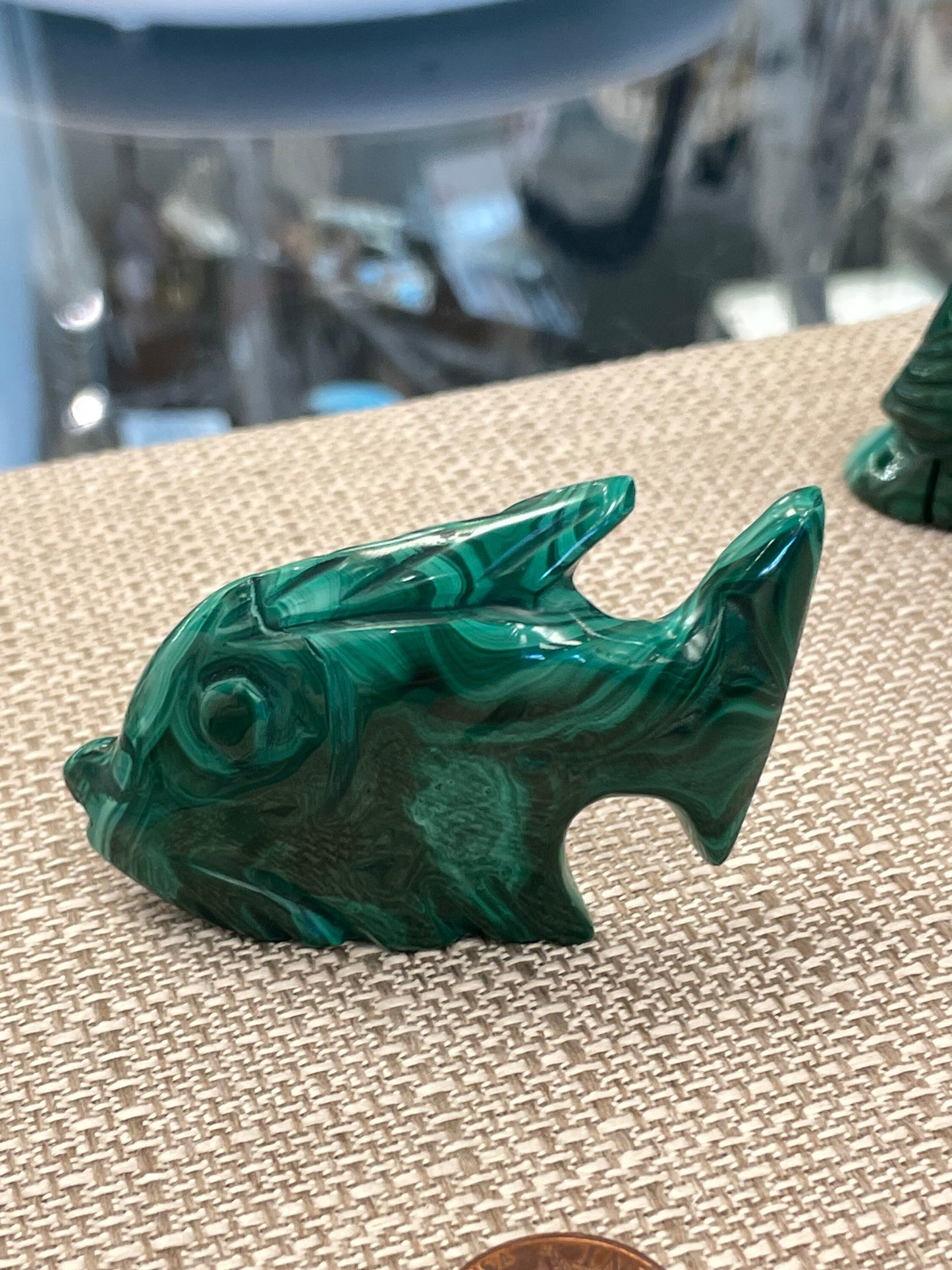 Malachite Fish