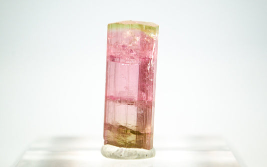 5.6 Gram Pink (watermelon) Tourmaline Crystal // 27.9ct // California // Bi-Color