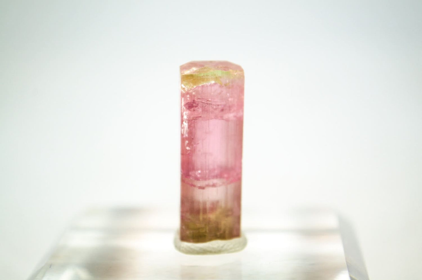 5.6 Gram Pink (watermelon) Tourmaline Crystal // 27.9ct // California // Bi-Color