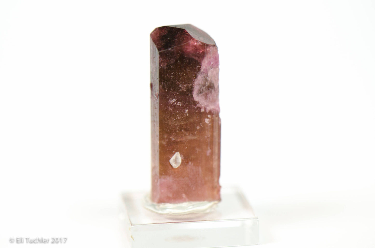 Rubellite Tourmaline Crystal // Russia // 6+ Grams // Wrappable //Mineral Specimen // The Crystal Garden