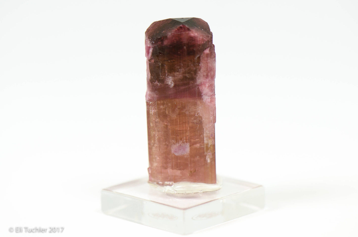 Rubellite Tourmaline Crystal // Russia // 6+ Grams // Wrappable //Mineral Specimen // The Crystal Garden