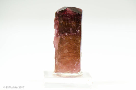 Rubellite Tourmaline Crystal // Russia // 6+ Grams // Wrappable //Mineral Specimen // The Crystal Garden