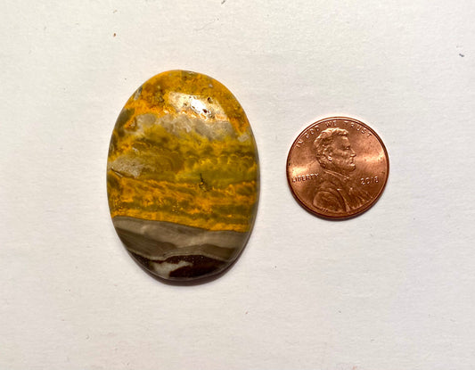 Bumblebee Jasper Cabochon