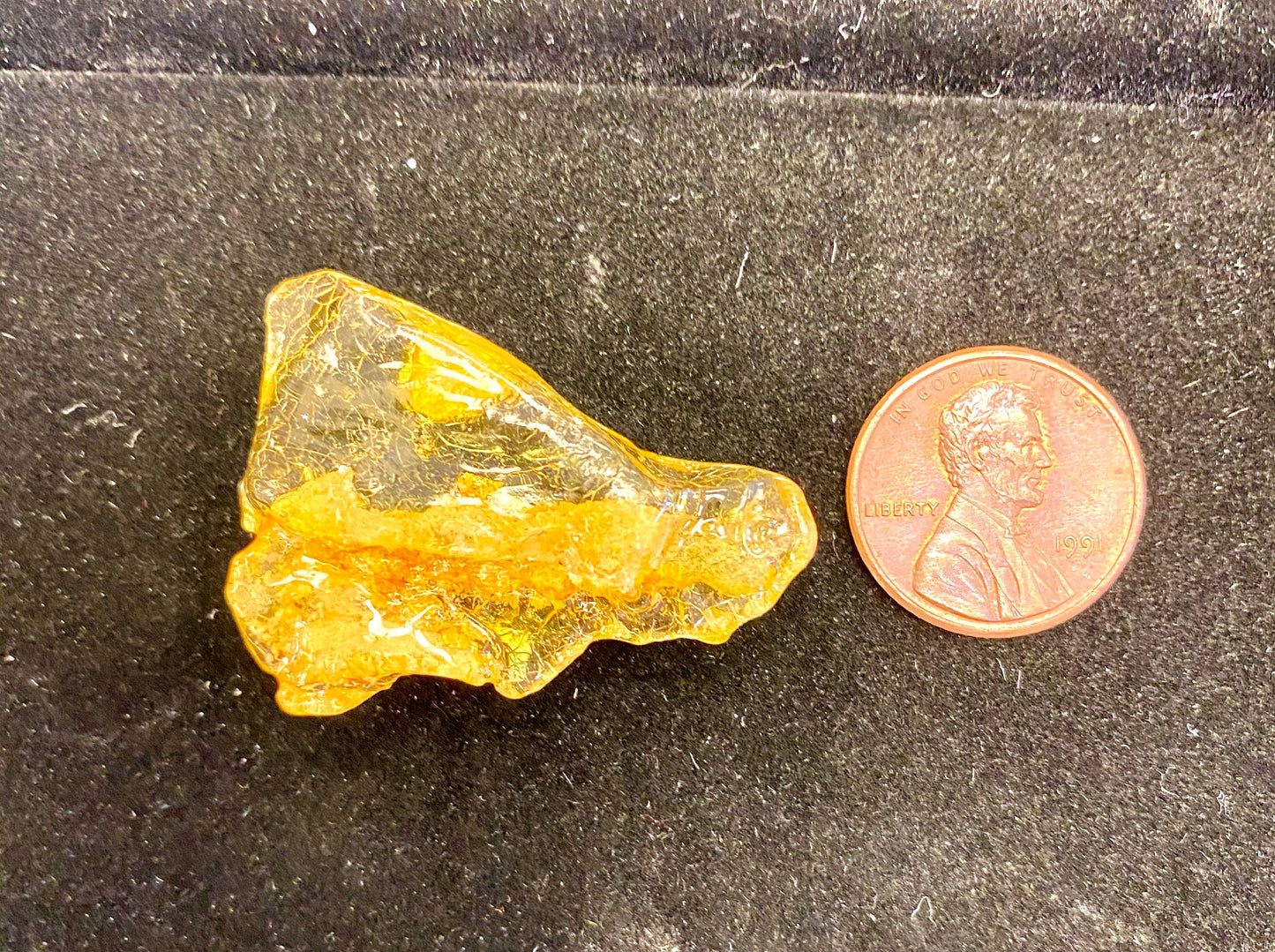 Amber Specimen