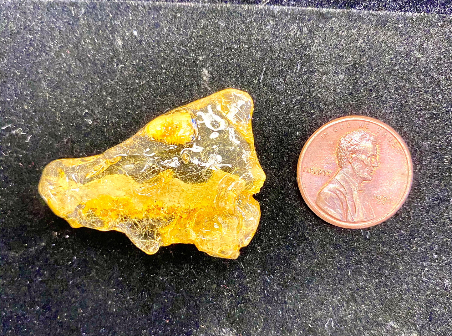 Amber Specimen