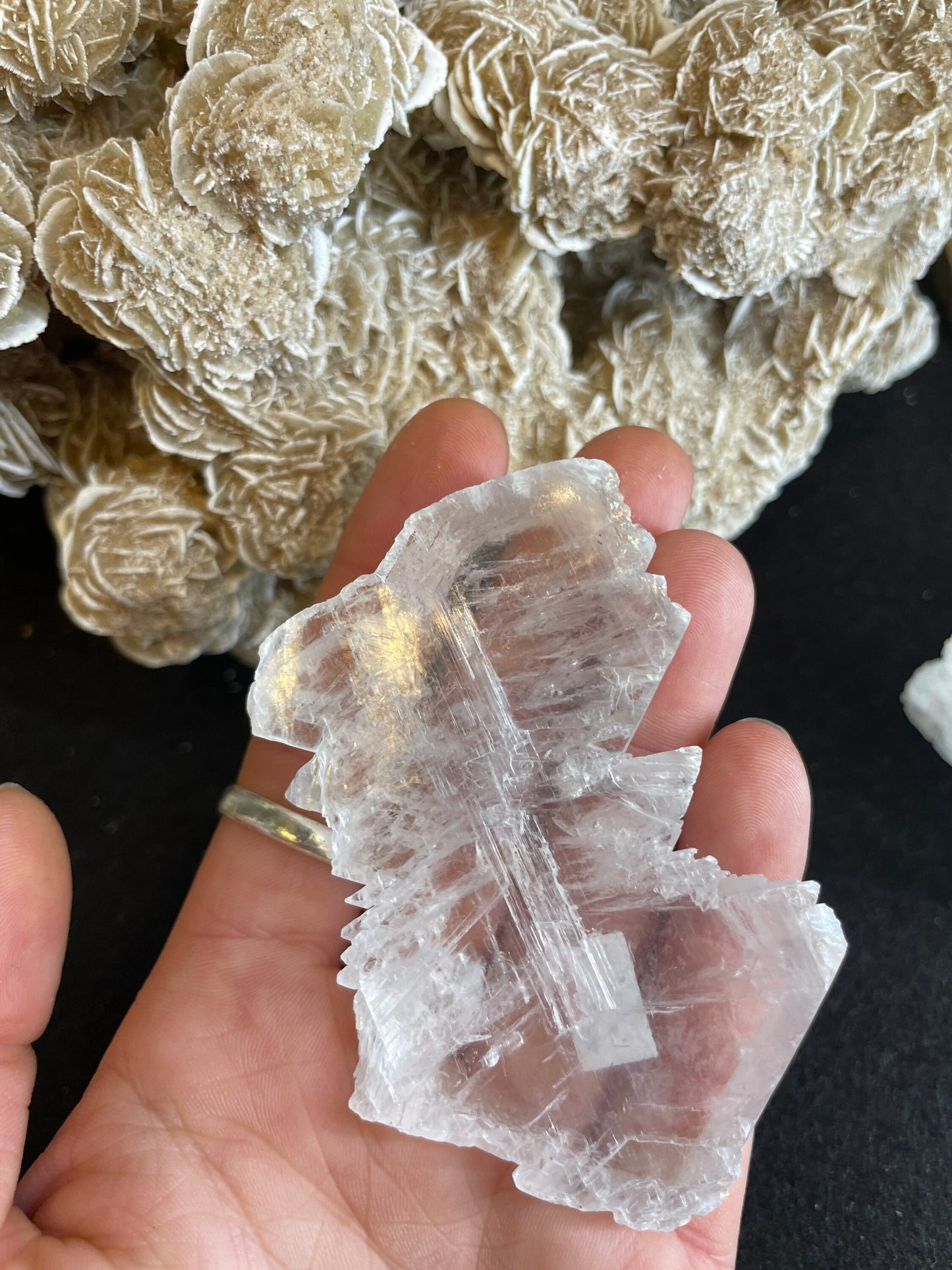 Fishtail Selenite