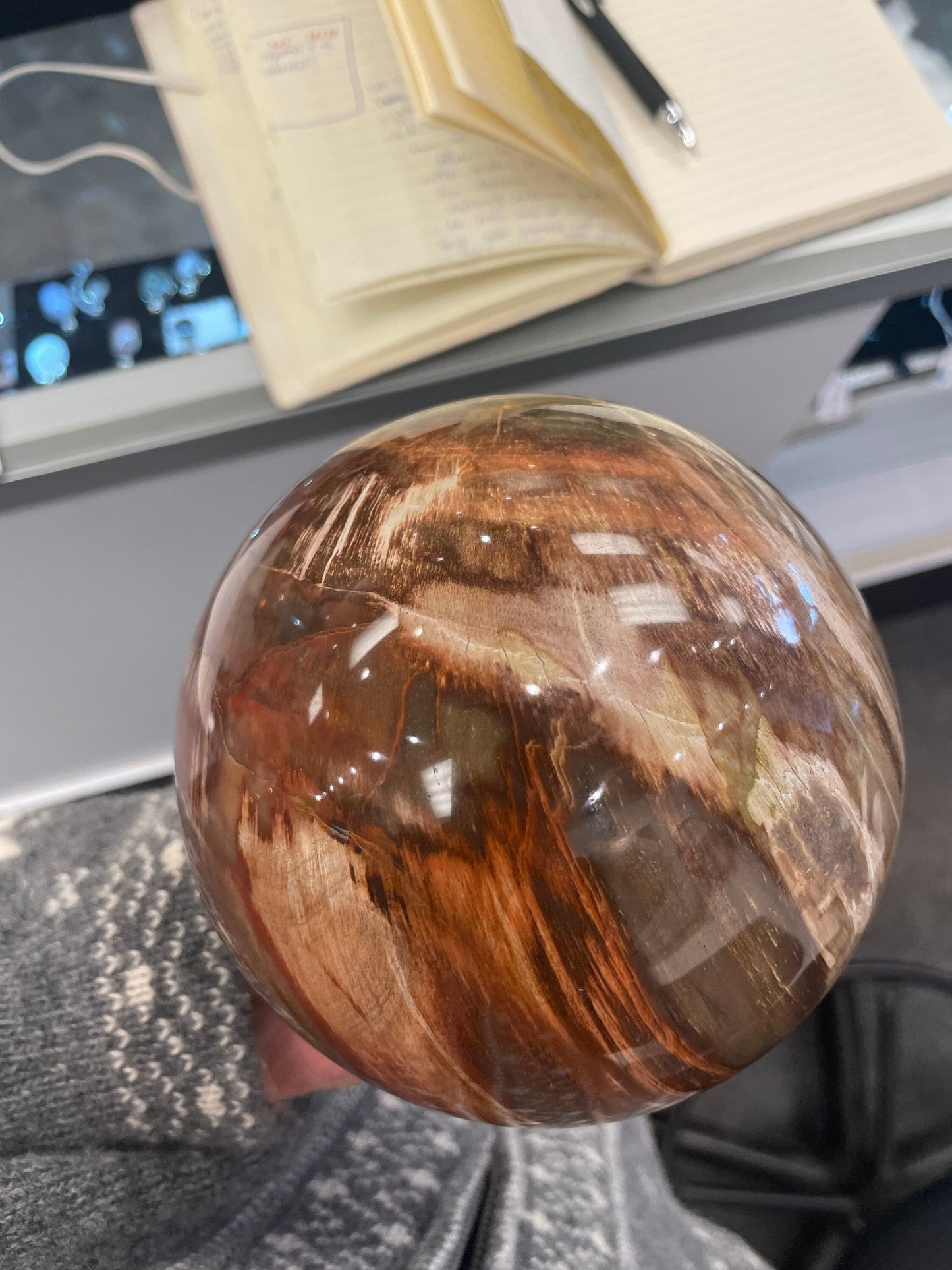 Large Petrified Wood Sphere!