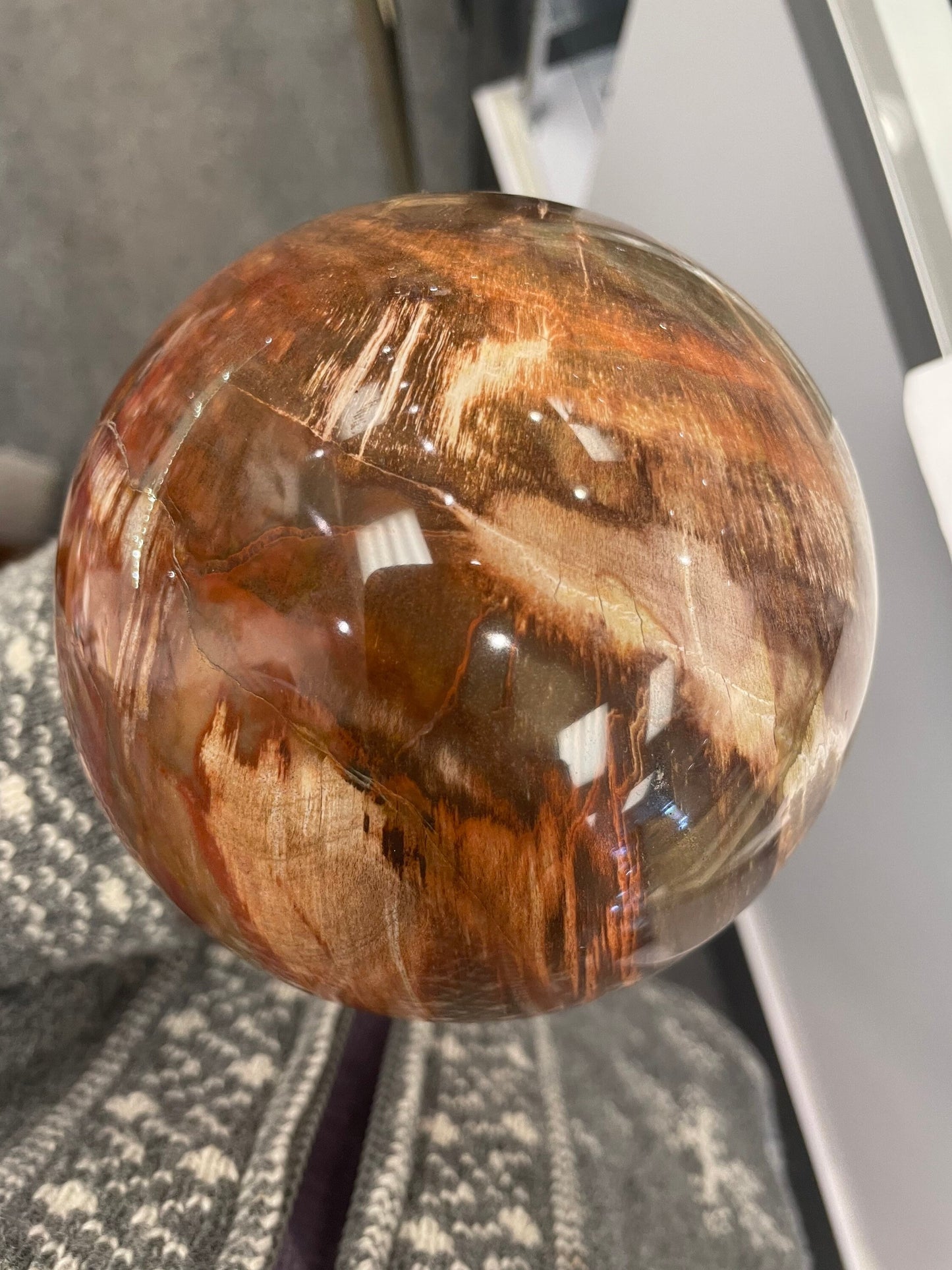 Large Petrified Wood Sphere!