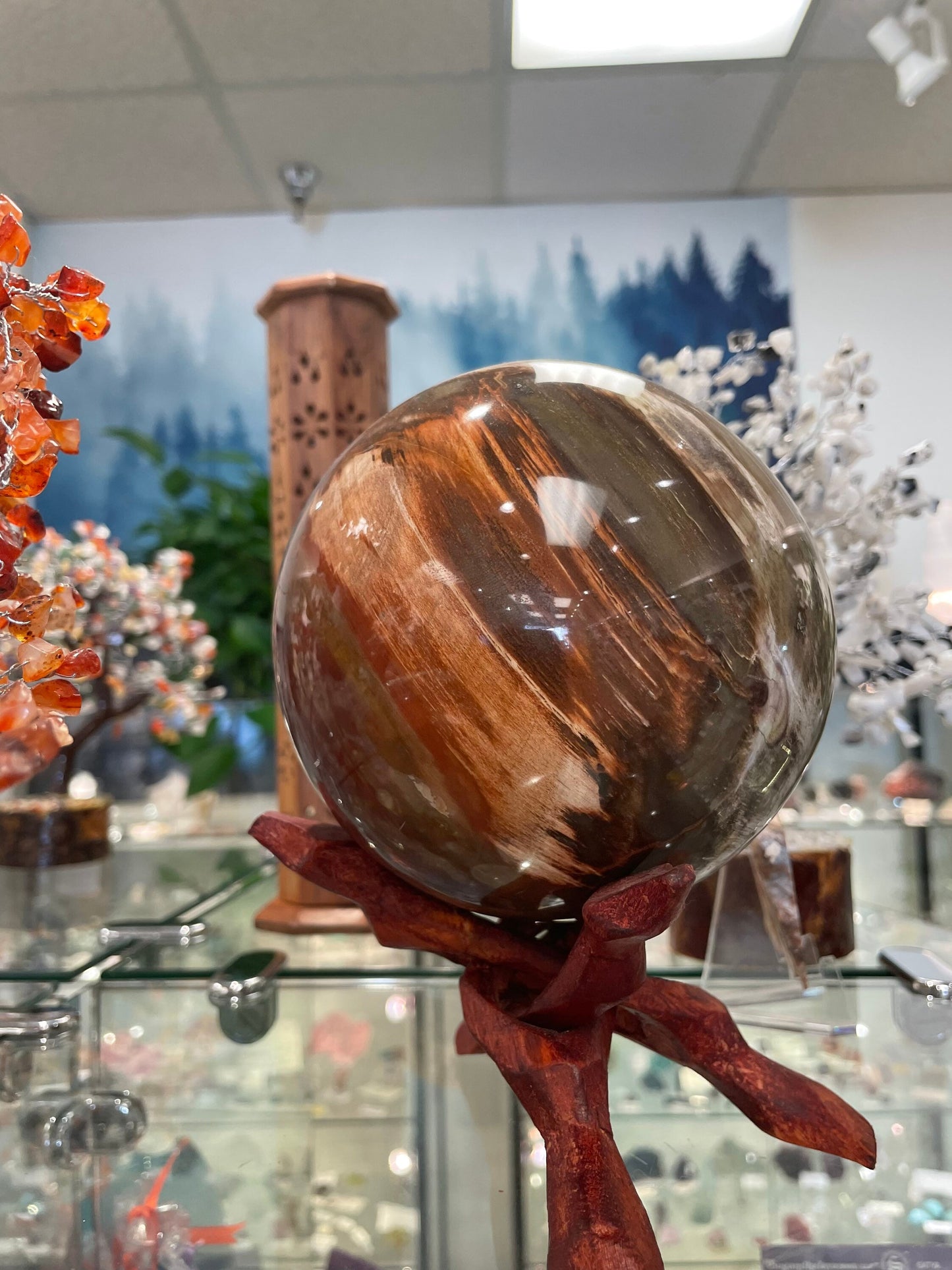 Large Petrified Wood Sphere!