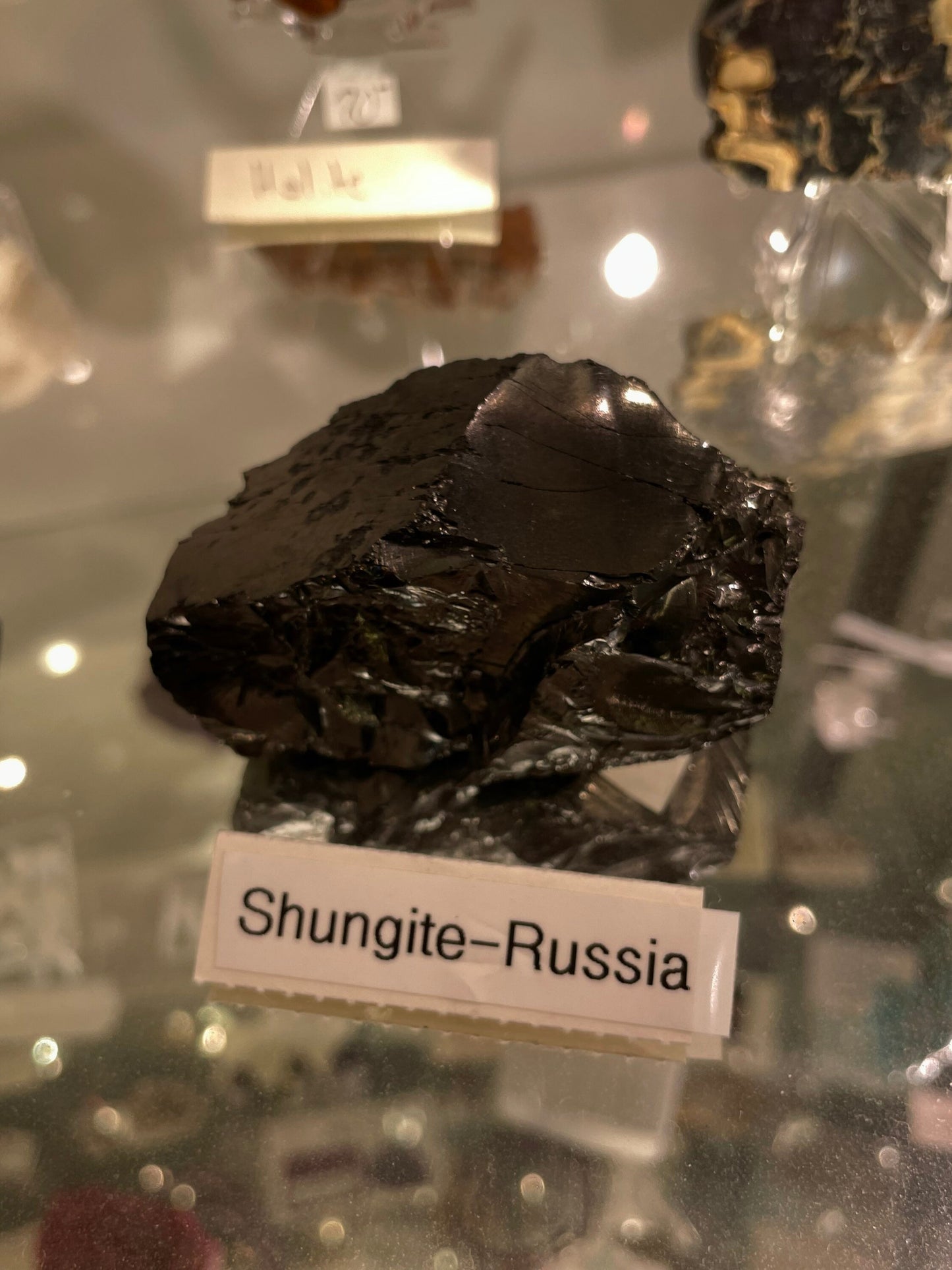 Shungite Specimen