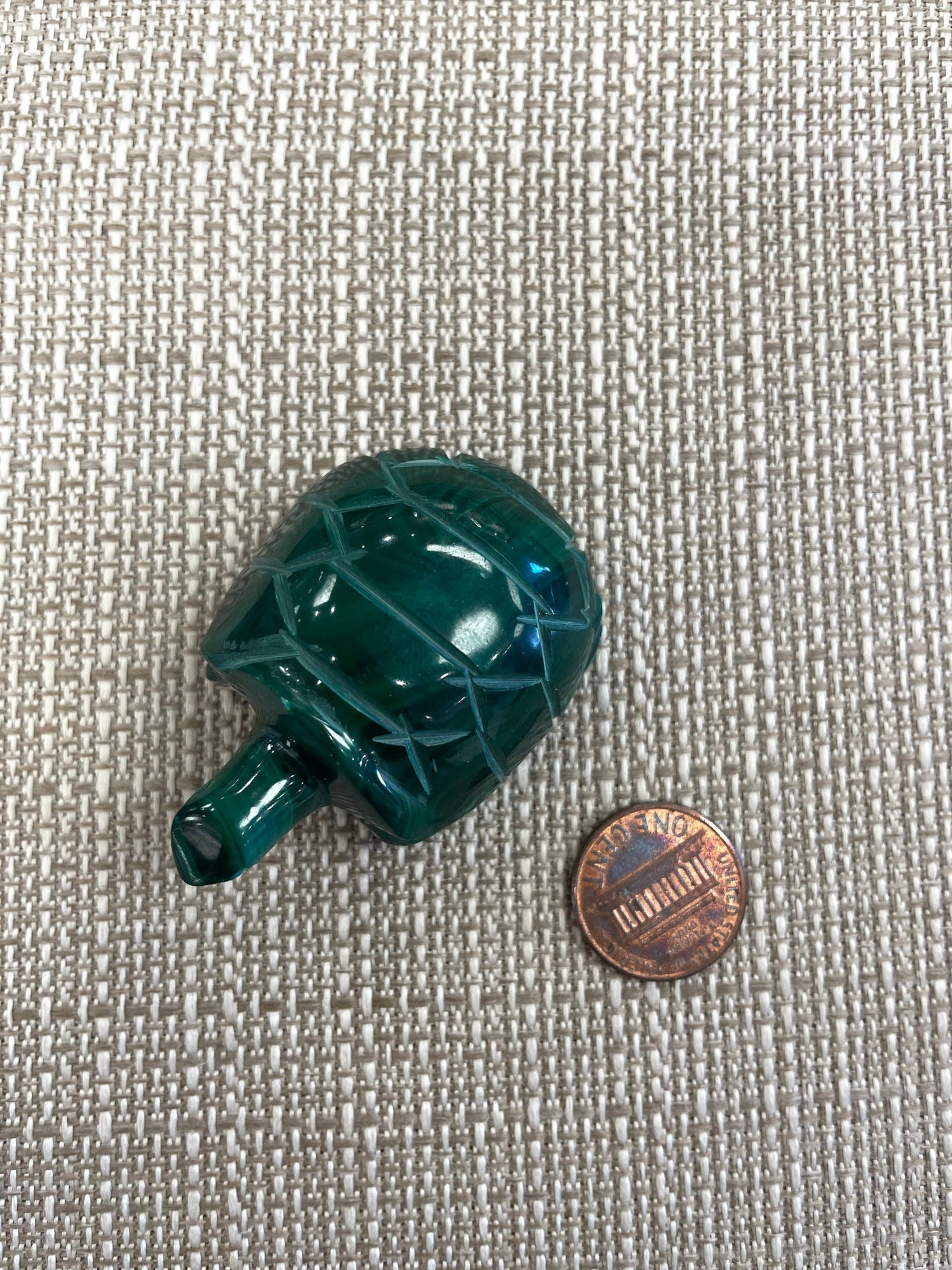 Malachite Turtle