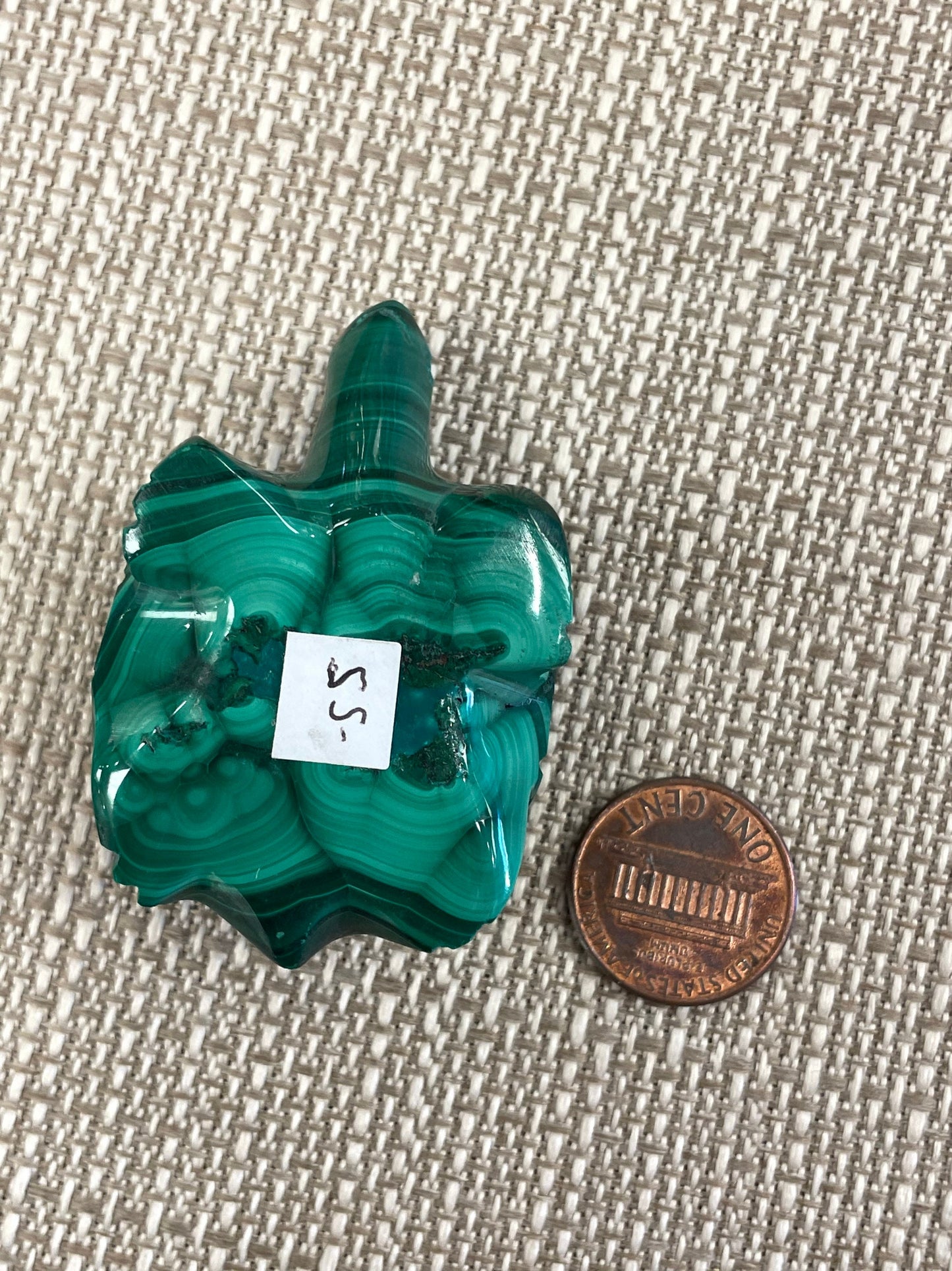 Malachite Turtle