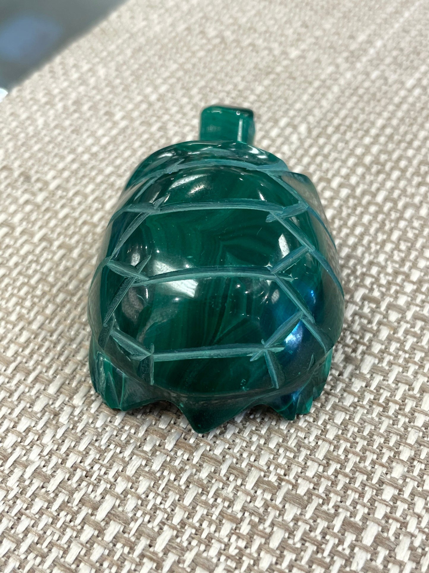 Malachite Turtle