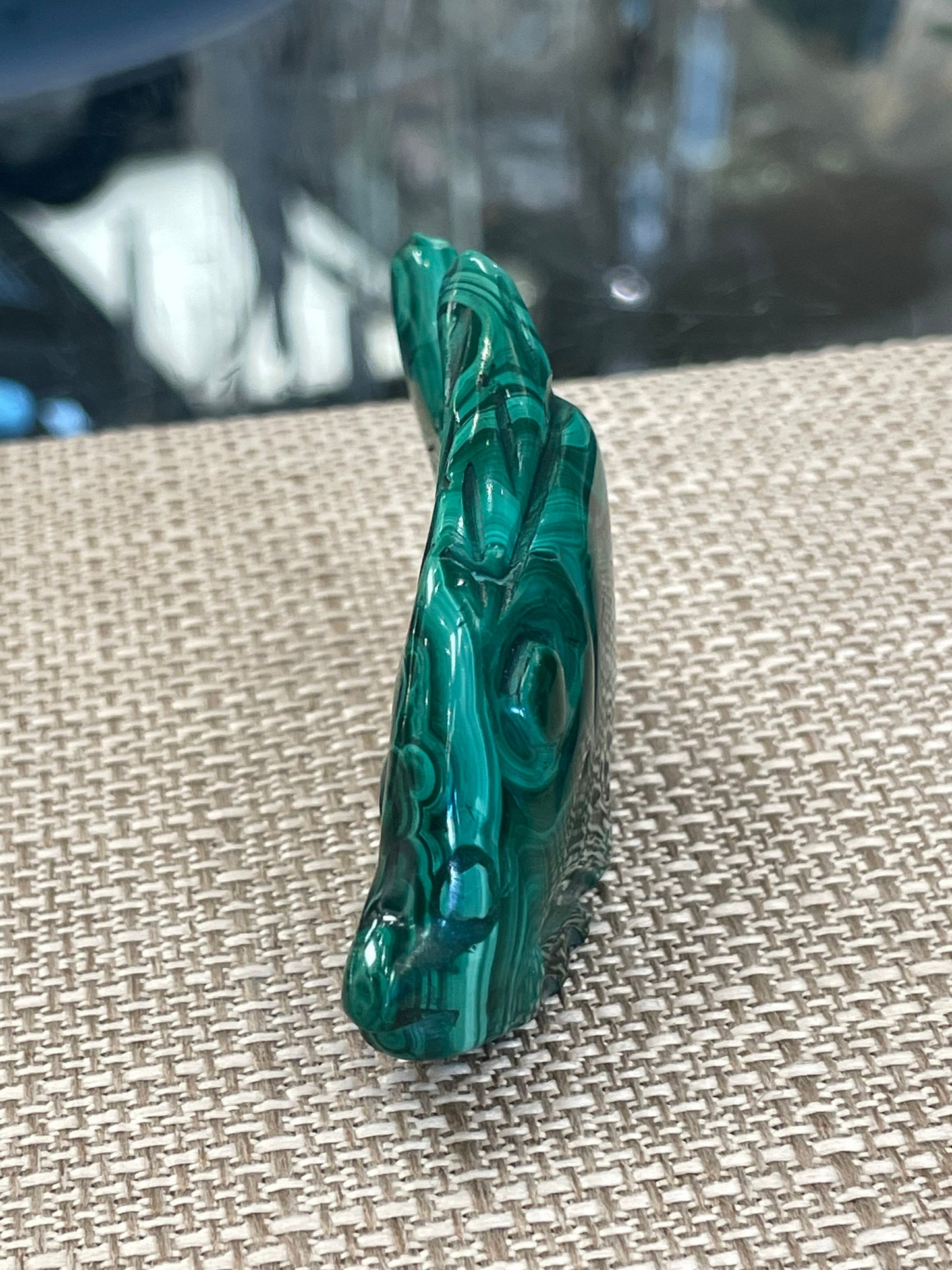 Malachite Fish