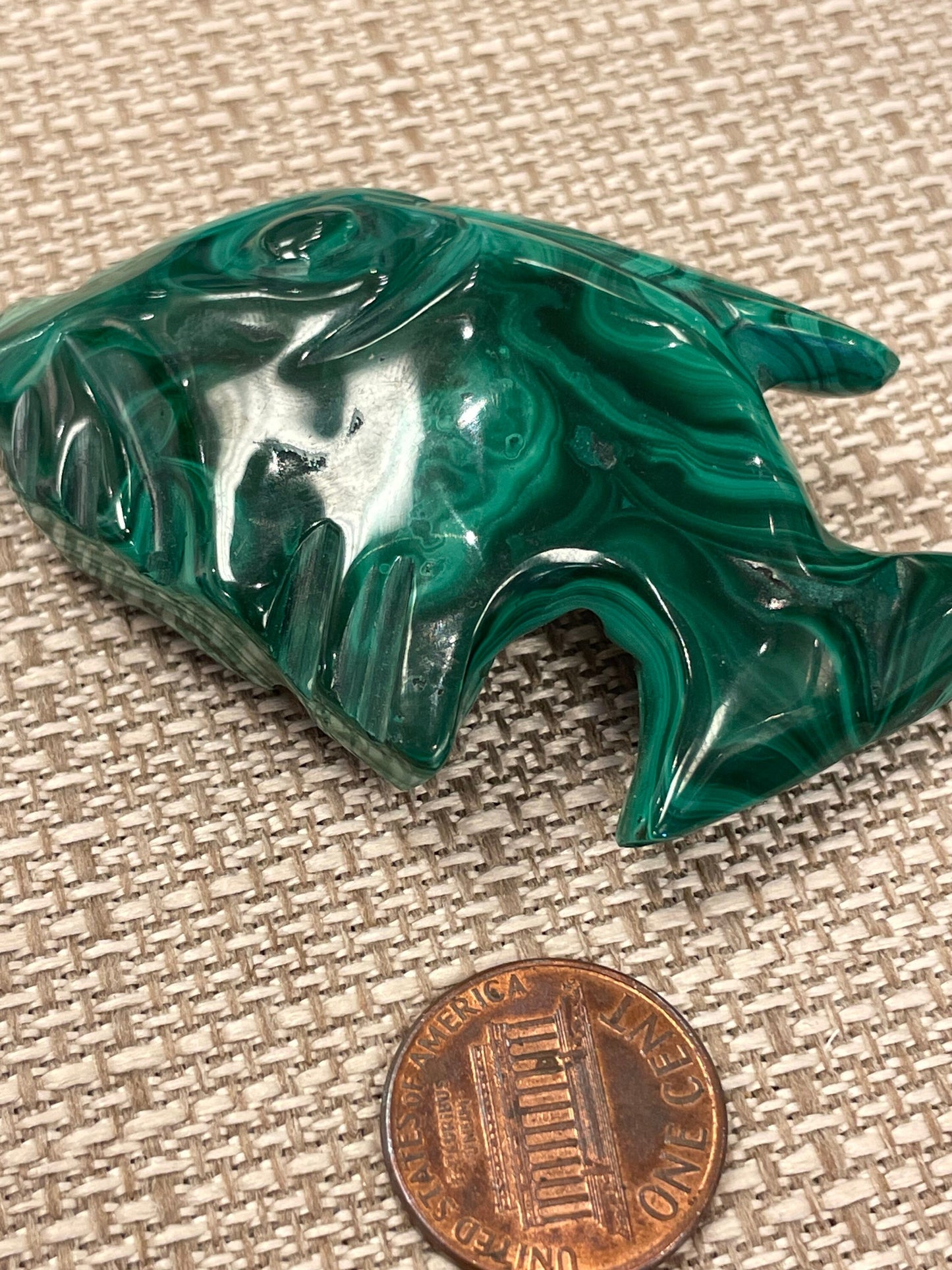 Malachite Fish