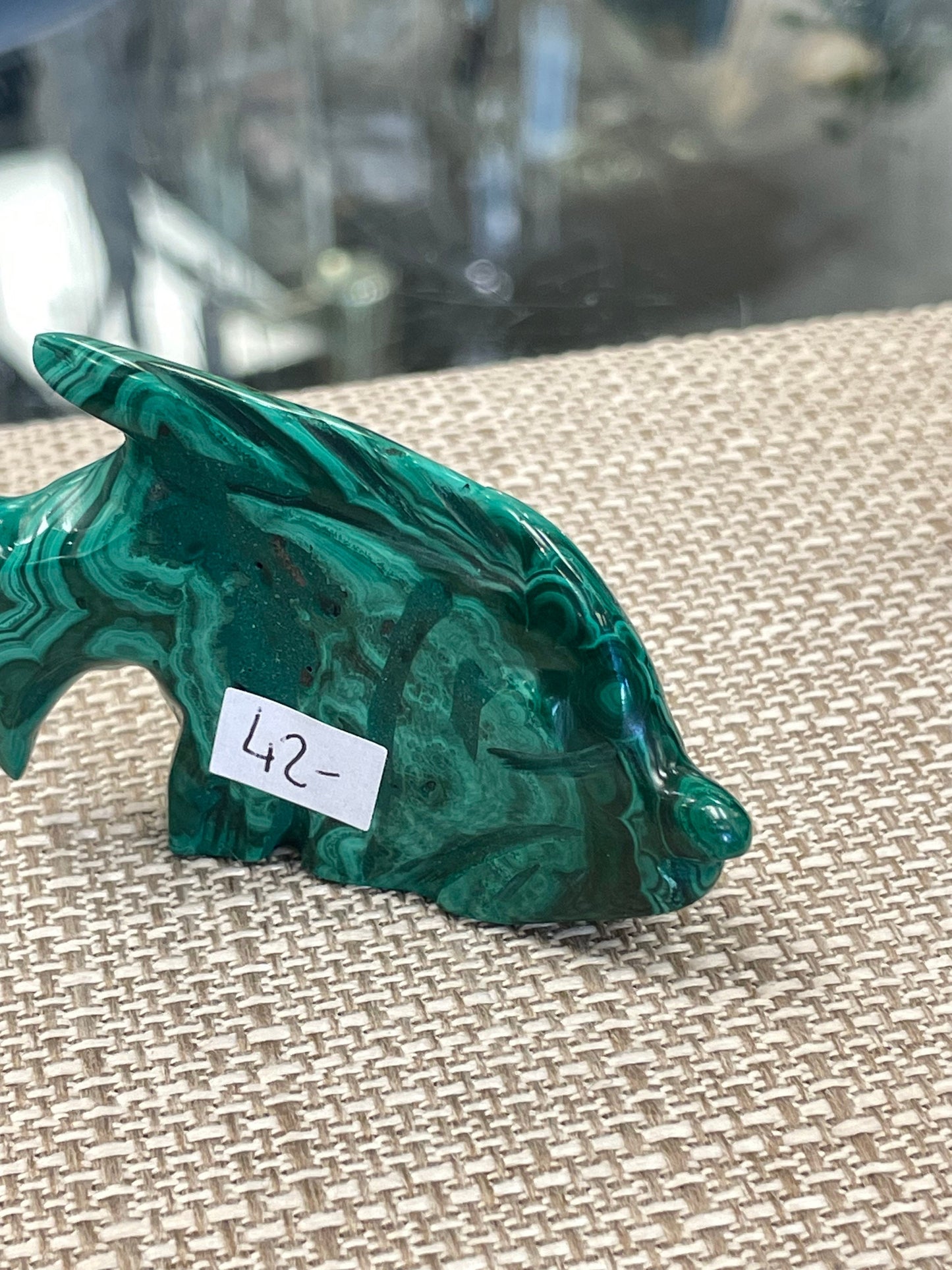 Malachite Fish