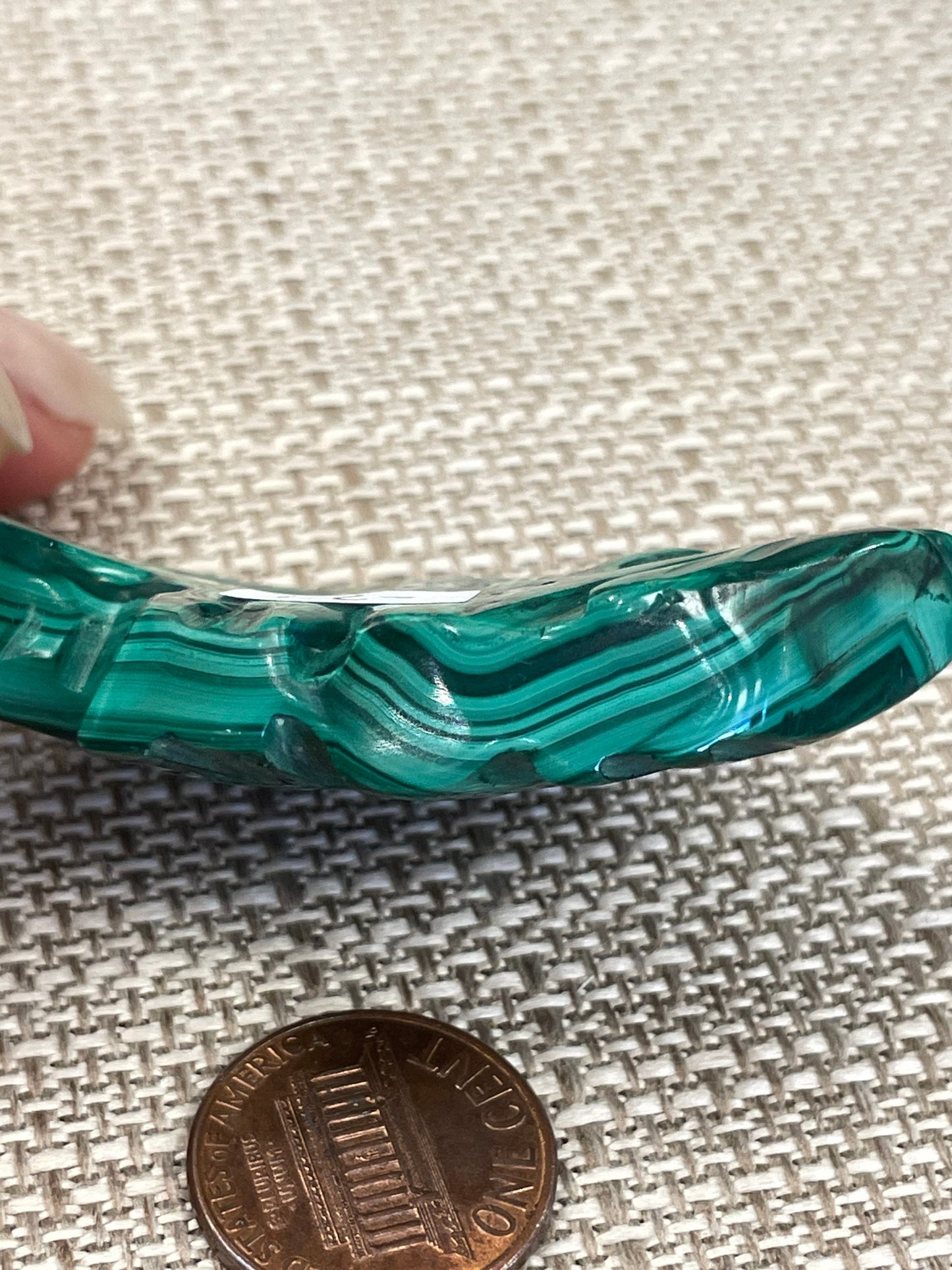 Malachite Fish