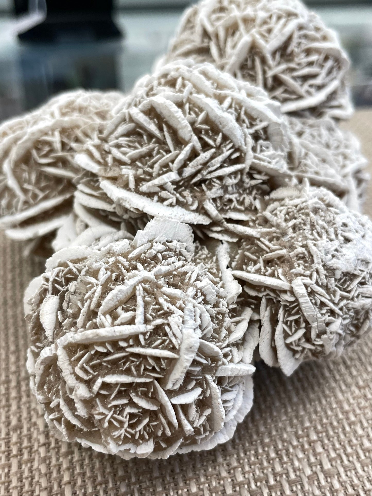 Desert Rose Selenite