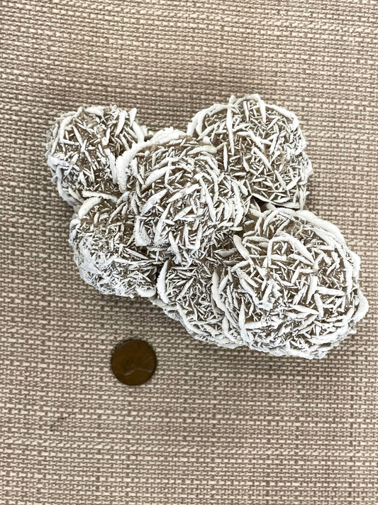 Desert Rose Selenite