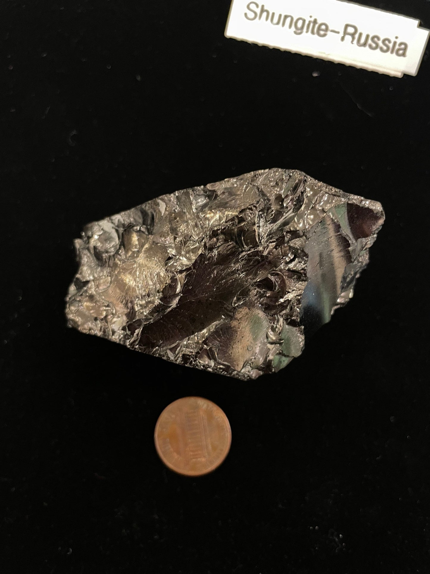 Shungite Specimen