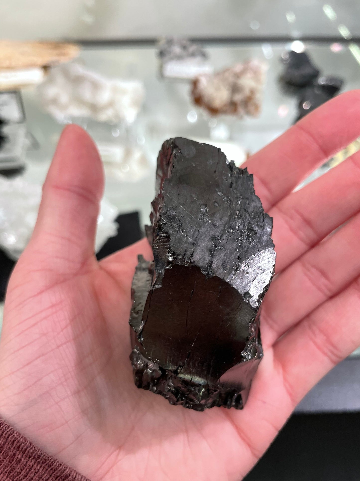 Shungite Specimen