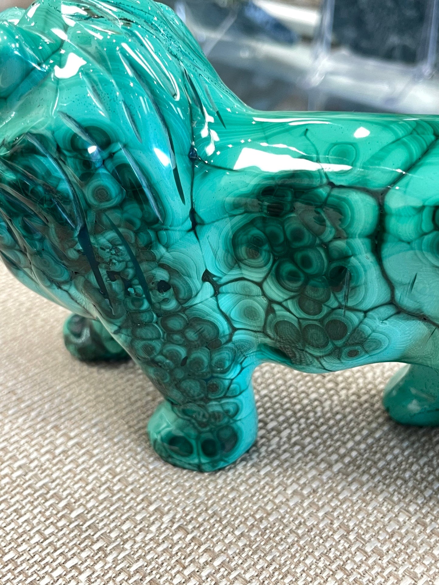 Malachite Lion!