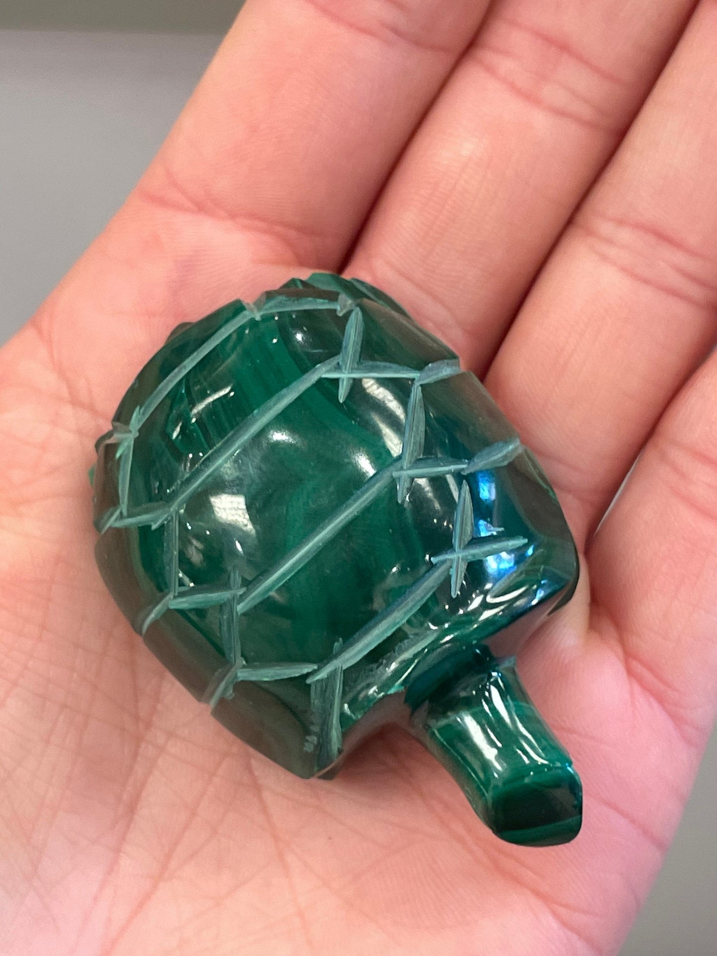 Malachite Turtle