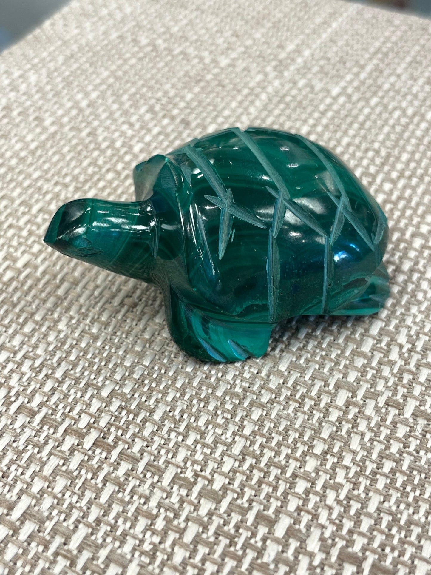 Malachite Turtle