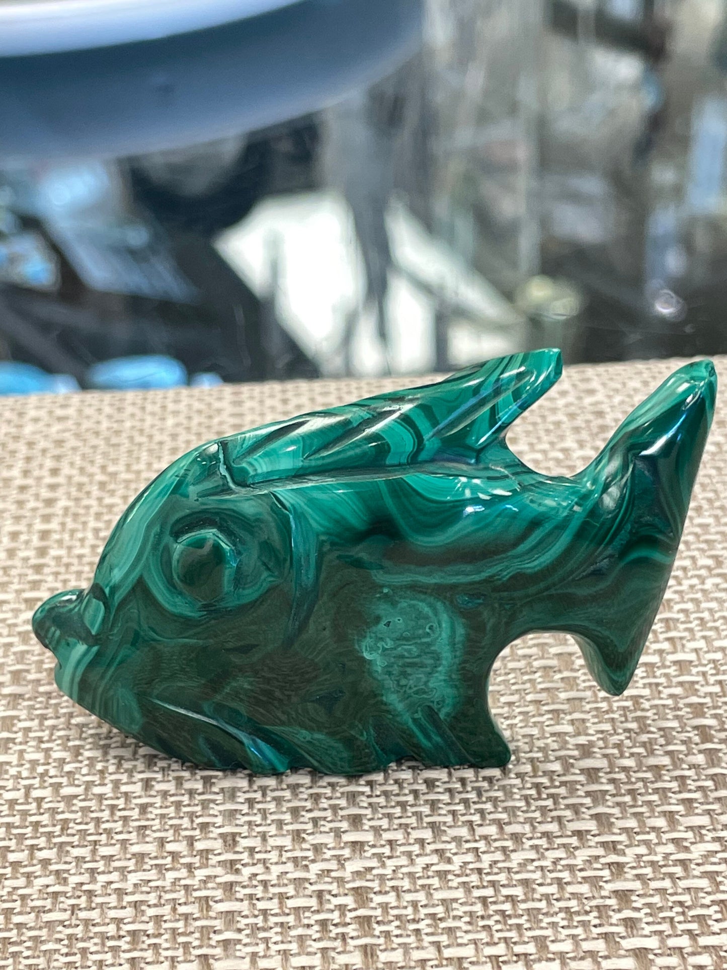 Malachite Fish