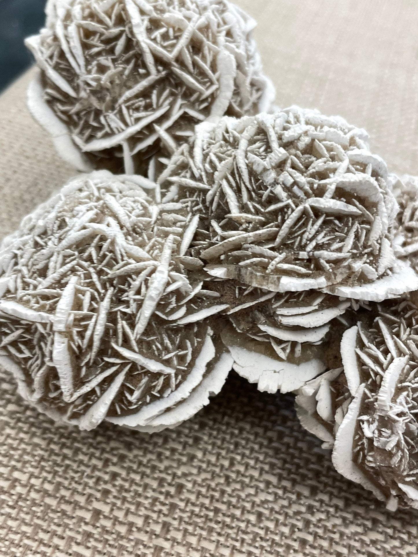 Desert Rose Selenite