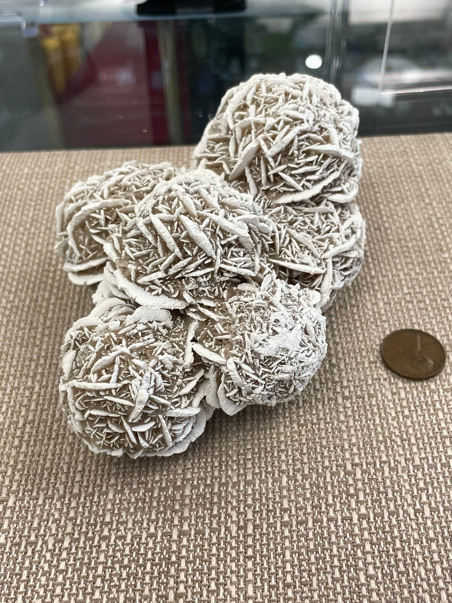 Desert Rose Selenite