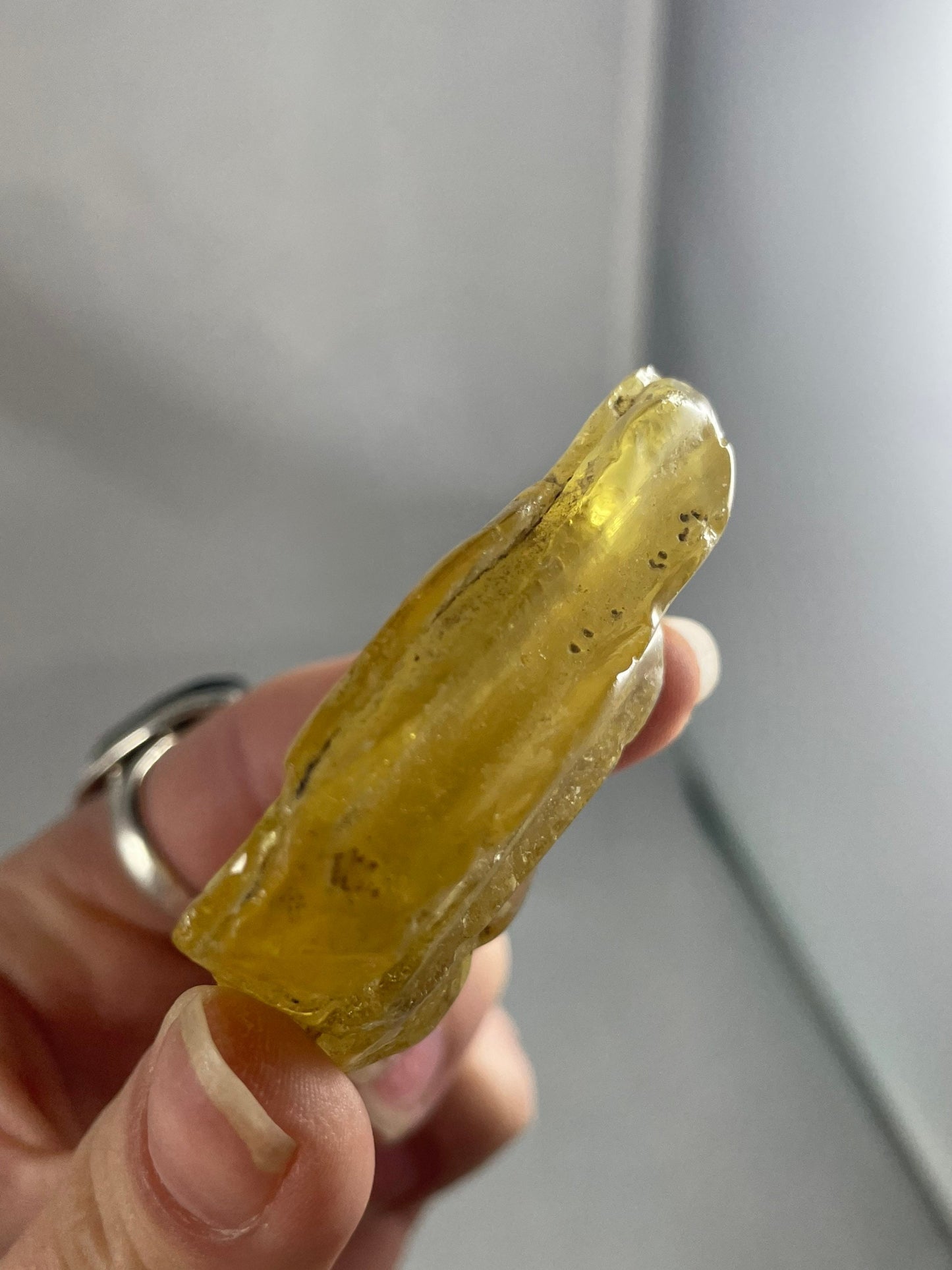 Amber/Copal Specimen