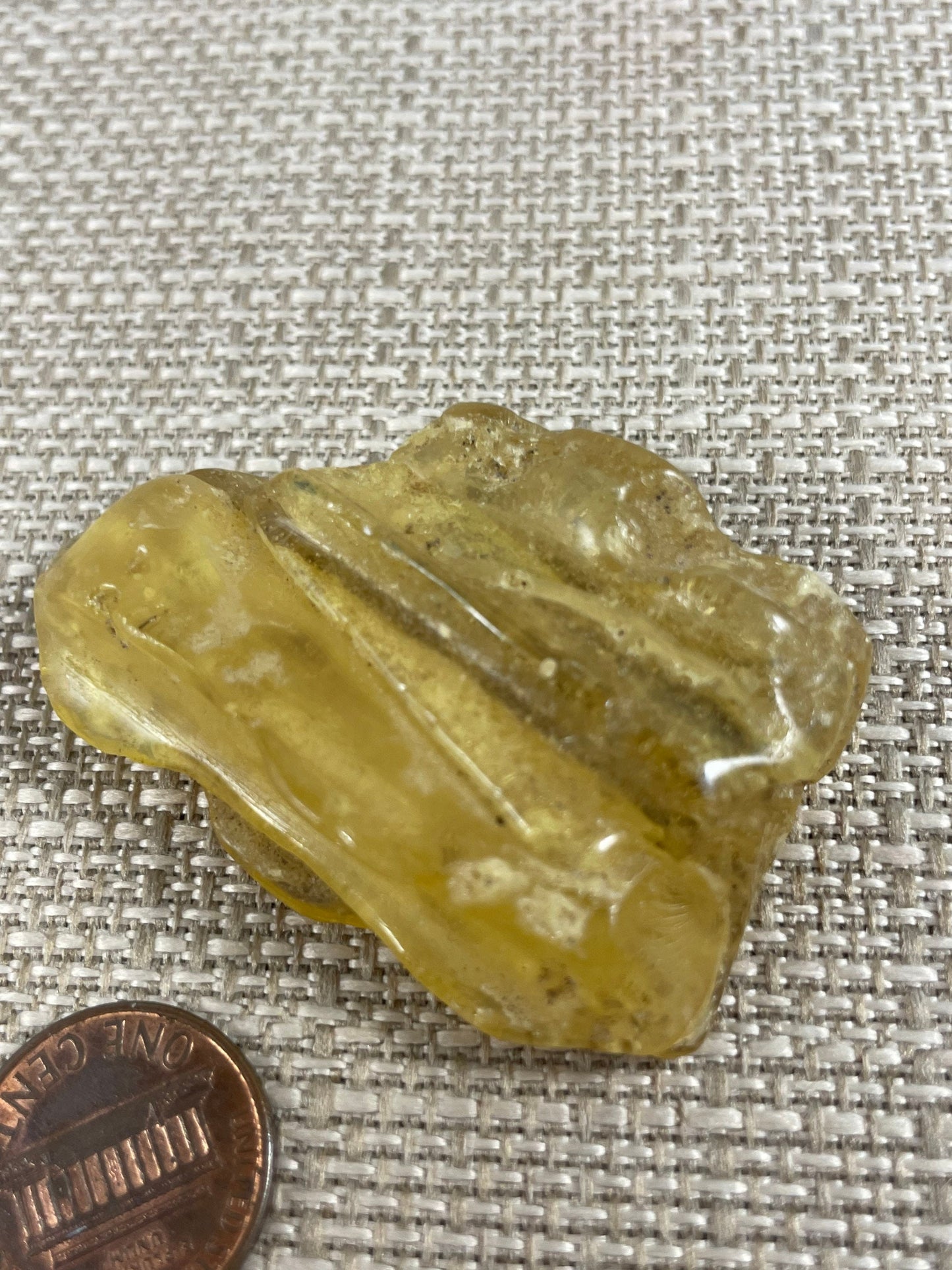 Amber/Copal Specimen