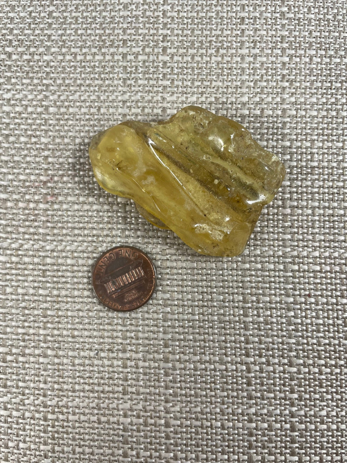 Amber/Copal Specimen