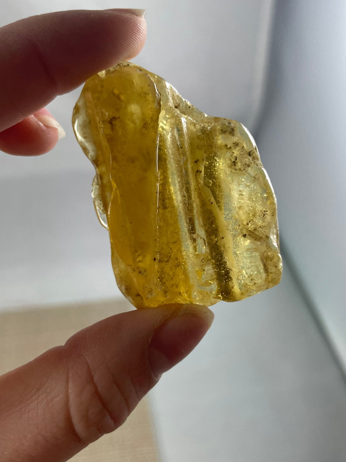 Amber/Copal Specimen