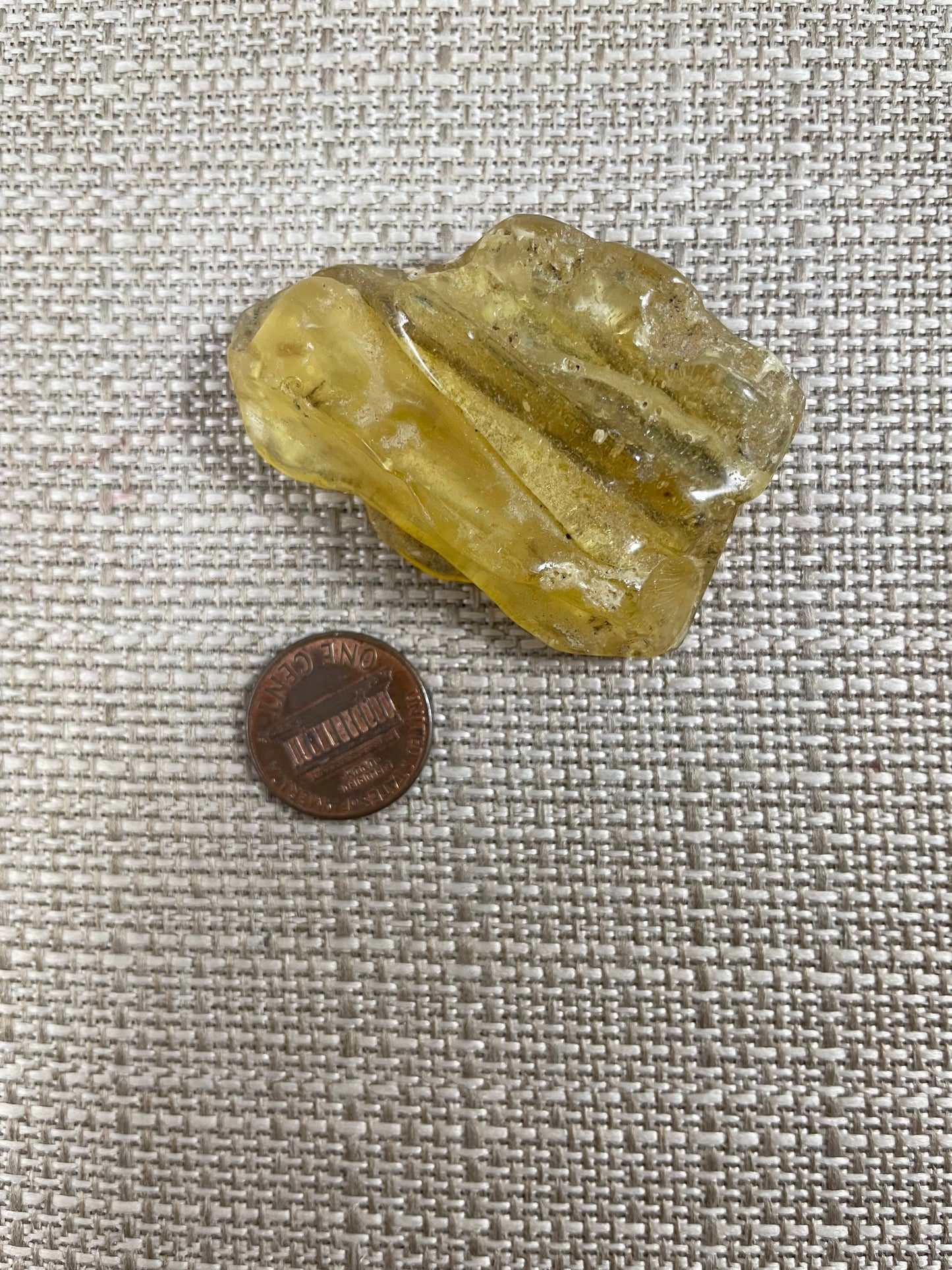 Amber/Copal Specimen